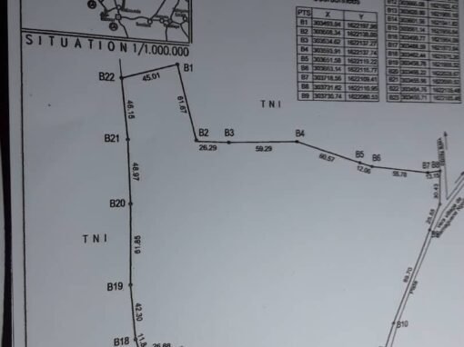 WhatsApp Image 2025-03-19 at 11.05.47